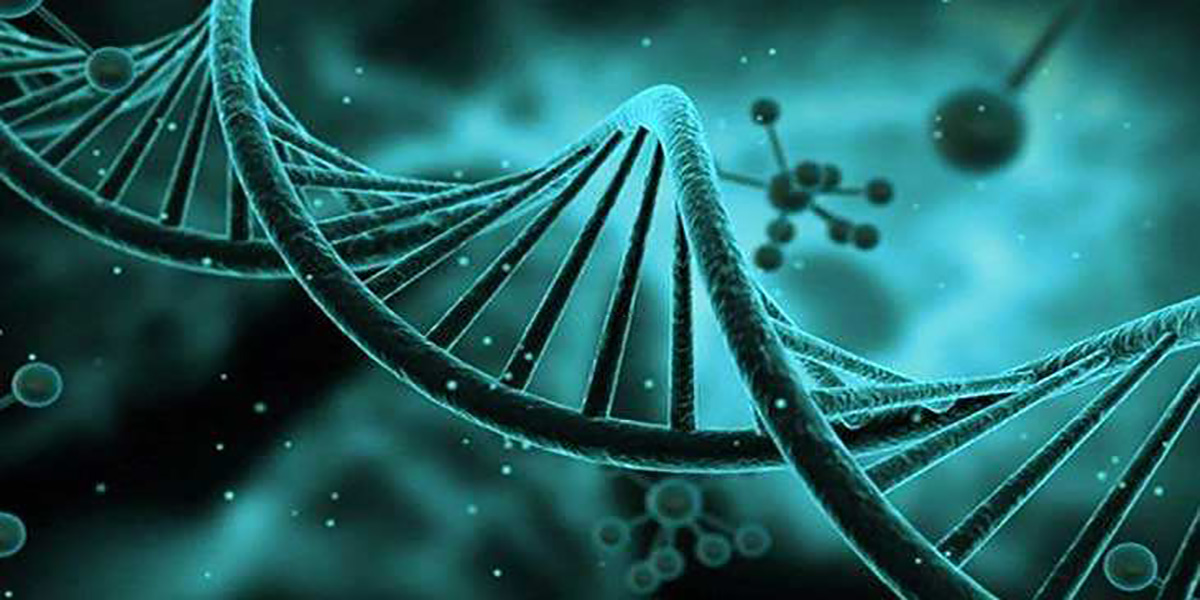 辅助生殖技术传承平台 官网