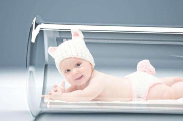 辅助生殖技术与助孕服务