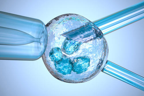 辅助生殖技术在厦门的发展