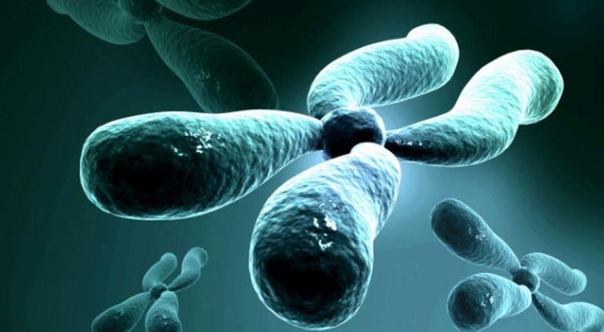 辅助生殖技术伦理探讨：助孕技术应用的边界与反思